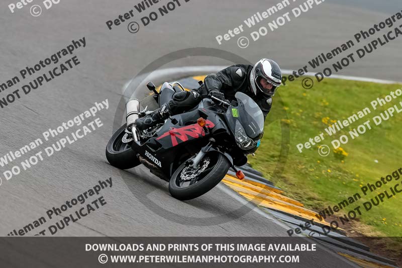 PJ Motorsport 2019;anglesey no limits trackday;anglesey photographs;anglesey trackday photographs;enduro digital images;event digital images;eventdigitalimages;no limits trackdays;peter wileman photography;racing digital images;trac mon;trackday digital images;trackday photos;ty croes